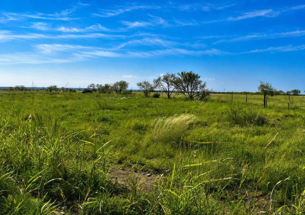 60 A Cr 144 Brady TX 76858