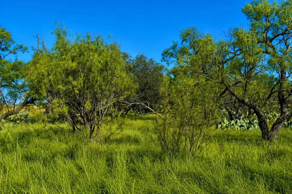 60 A Cr 144 Brady TX 76858