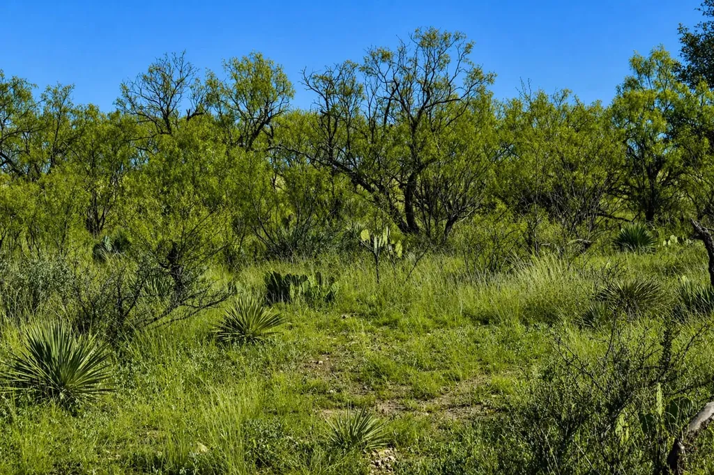 60 A Cr 144 Brady TX 76858