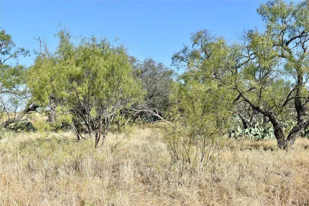 60 A Cr 144 Brady TX 76858