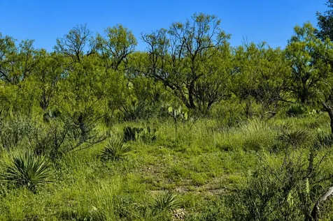 60 A Cr 144 Brady TX 76858
