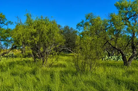 60 A Cr 144 Brady TX 76858