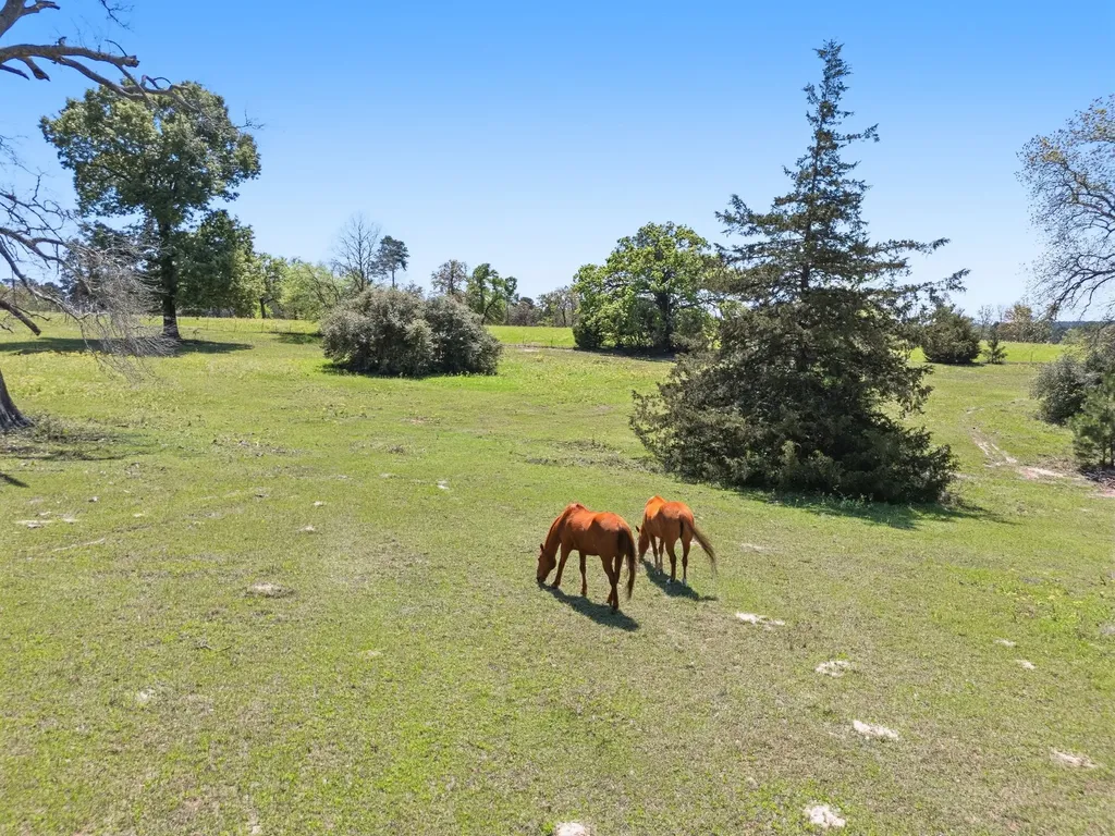 689 & 691 Fm 1272 Grapeland TX 75844