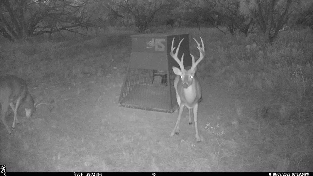 Tbd County Road 291 Breckenridge TX 76464