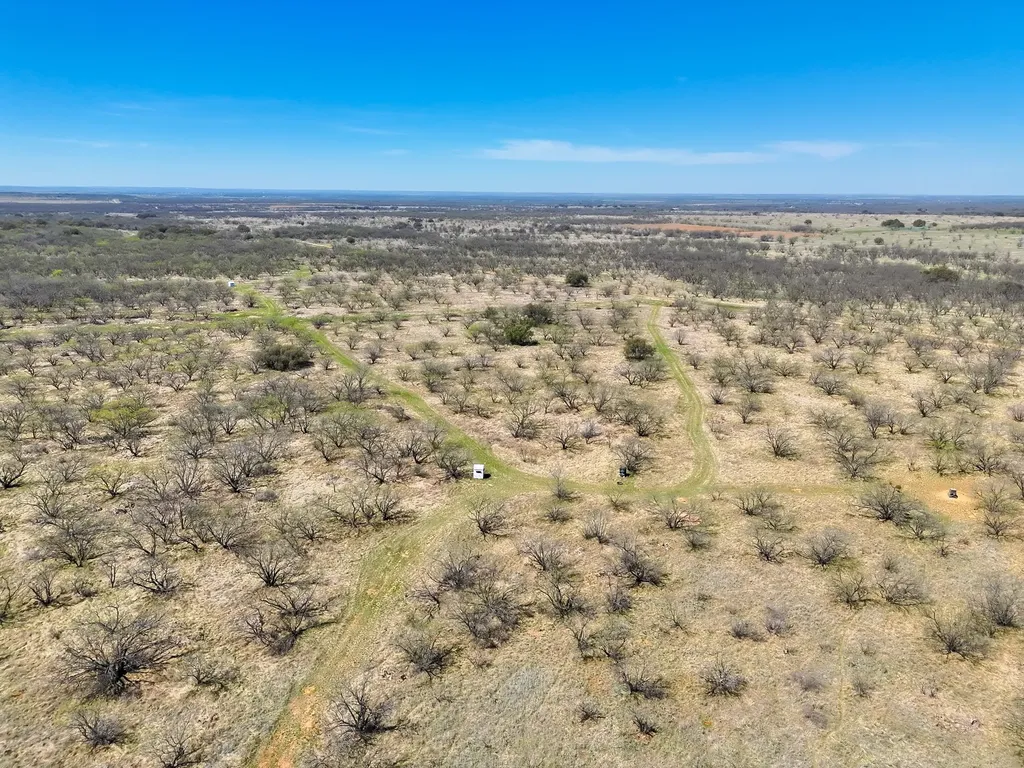 Tbd County Road 291 Breckenridge TX 76464