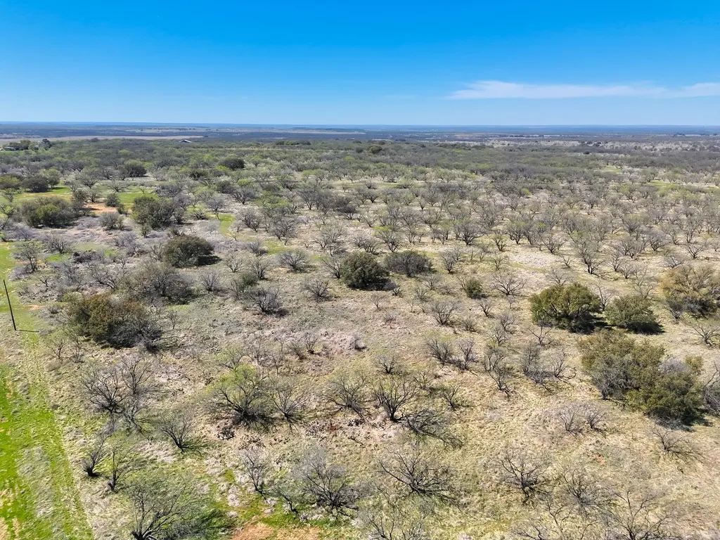 Tbd County Road 291 Breckenridge TX 76464