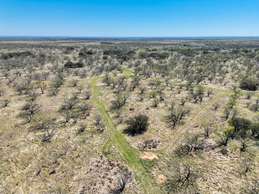 Tbd County Road 291 Breckenridge TX 76464