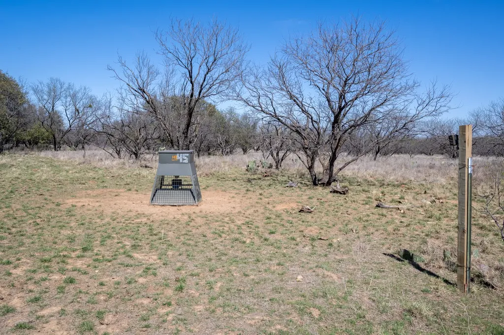 Tbd County Road 291 Breckenridge TX 76464