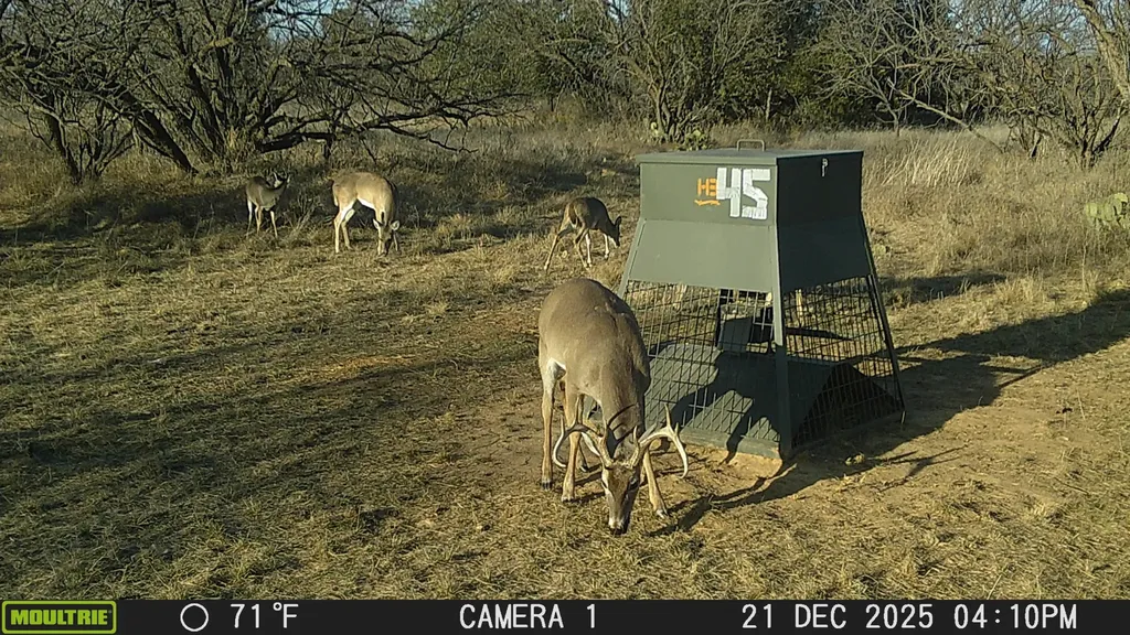 Tbd County Road 291 Breckenridge TX 76464
