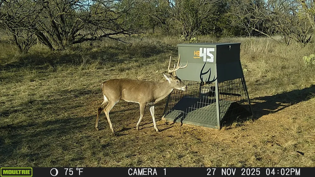 Tbd County Road 291 Breckenridge TX 76464