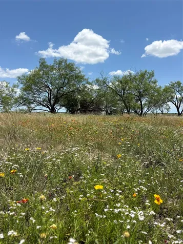 TBD-225 Cr 620 Hamilton TX 76531