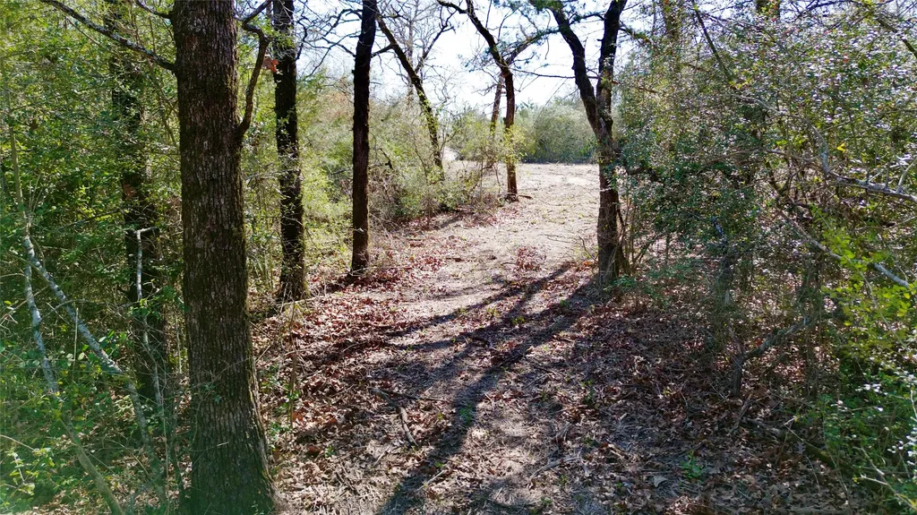 100 Pr 617 Kosse TX 76653