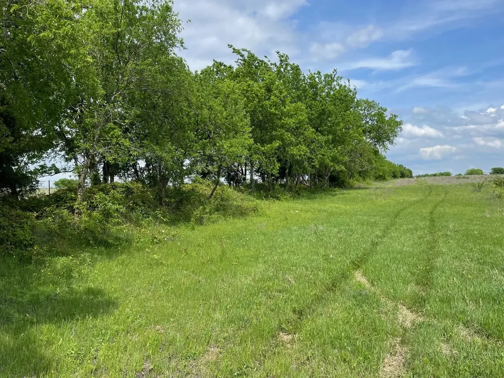 22 Acres Fm 118 Greenville TX 75401