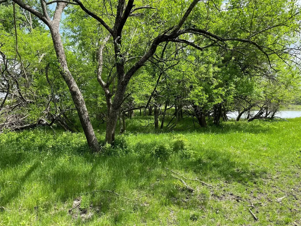 22 Acres Fm 118 Greenville TX 75401
