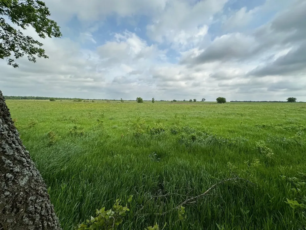 22 Acres Fm 118 Greenville TX 75401