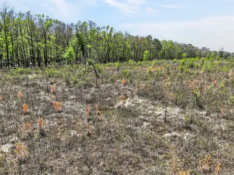 14 +/- Acres County Road 4223 Simms TX 75574