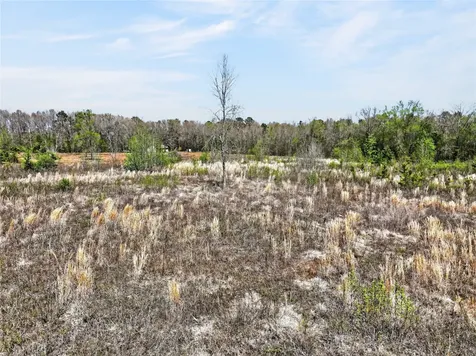 14 +/- Acres County Road 4223 Simms TX 75574