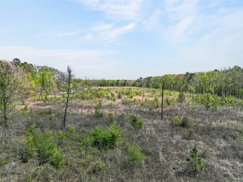 14 +/- Acres County Road 4223 Simms TX 75574