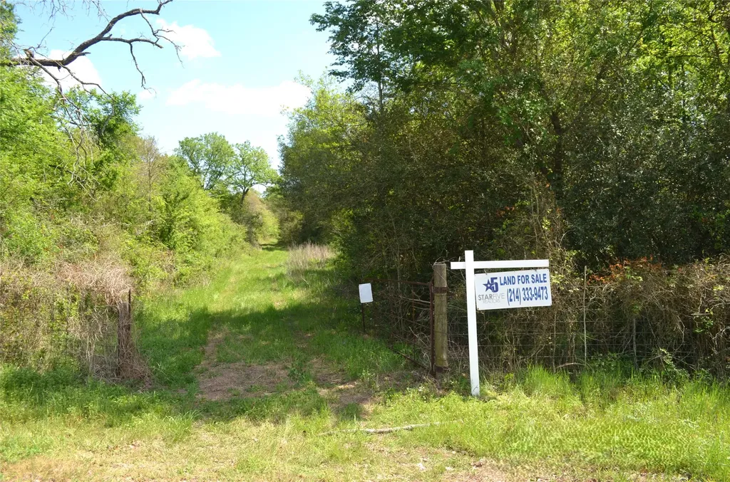 977 E Leona TX 75850