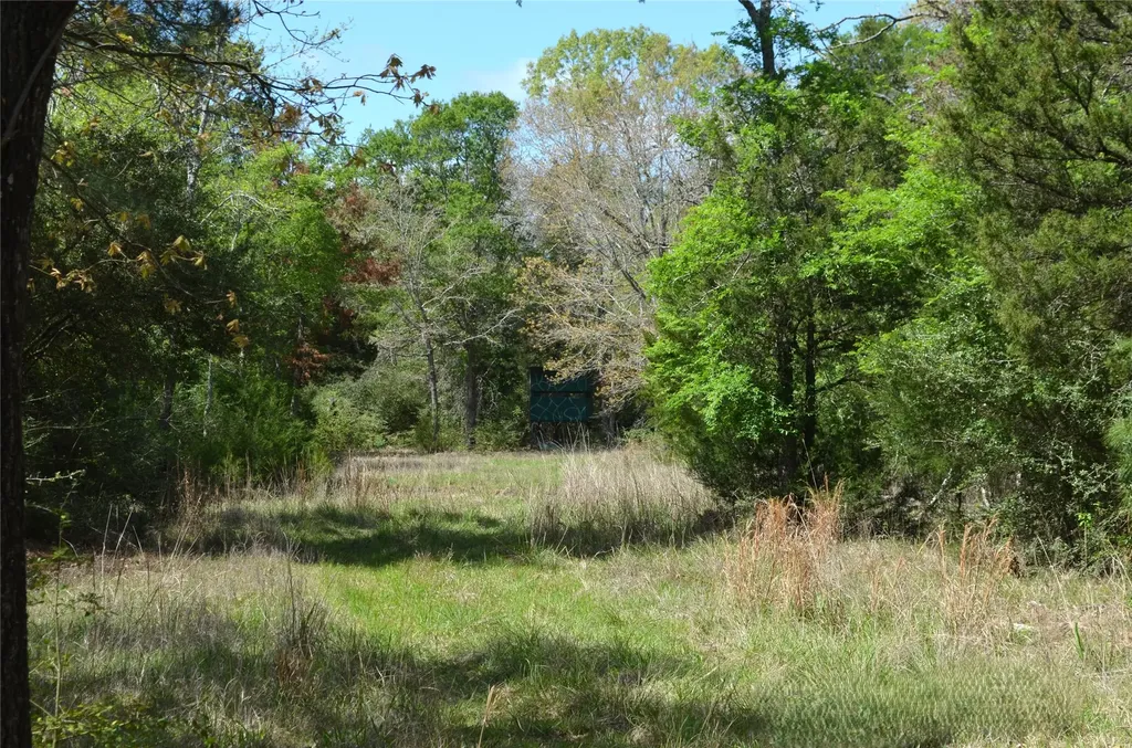 977 E Leona TX 75850