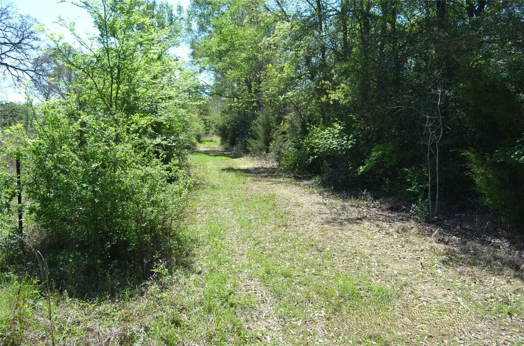 977 E Leona TX 75850