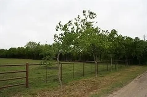 00000 County Road 4910 Trenton TX 75490