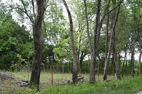 00000 County Road 4910 Trenton TX 75490