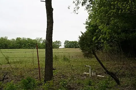 00000 County Road 4910 Trenton TX 75490