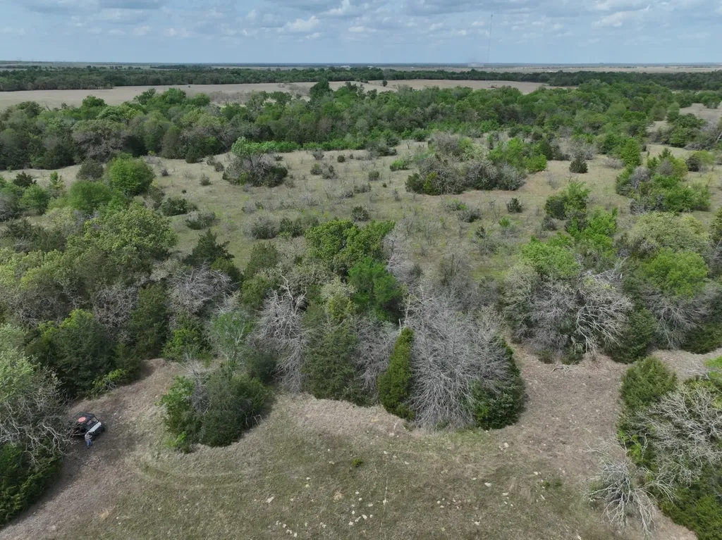 Tbd Mitchell Road Kosse TX 76653