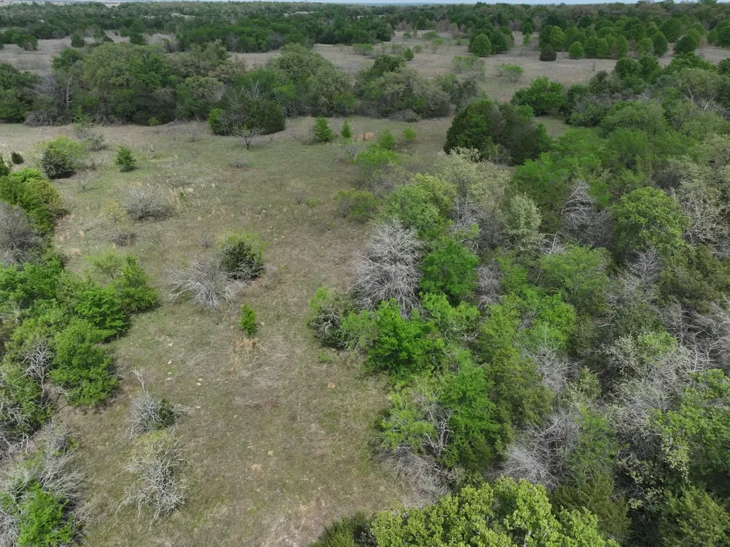 Tbd Mitchell Road Kosse TX 76653