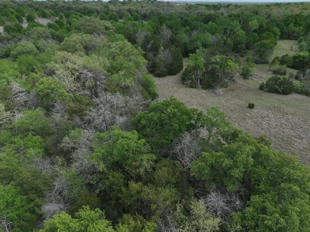 Tbd Mitchell Road Kosse TX 76653