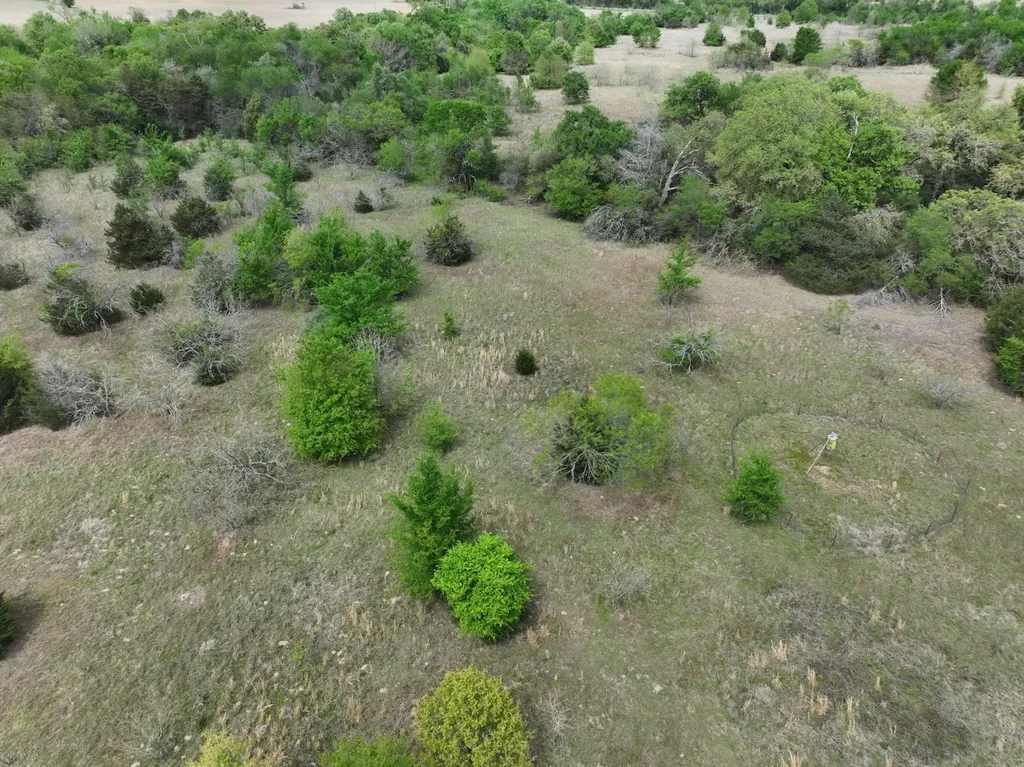 Tbd Mitchell Road Kosse TX 76653