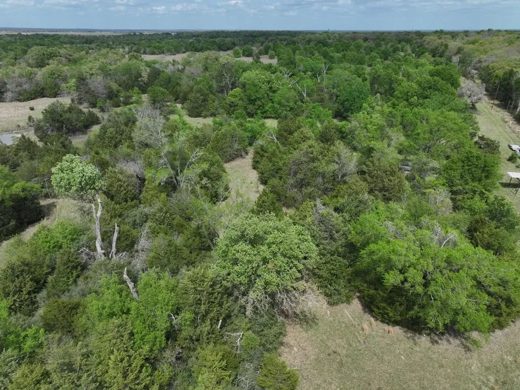 Tbd Mitchell Road Kosse TX 76653