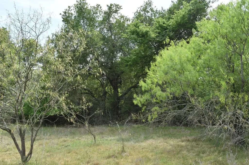 Tbd Mitchell Road Kosse TX 76653