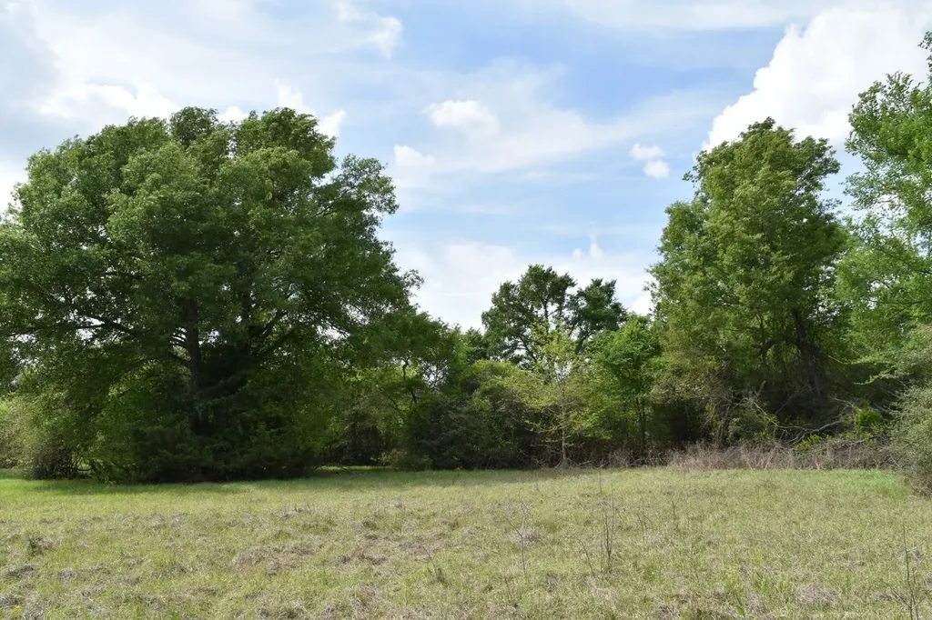 Tbd Mitchell Road Kosse TX 76653