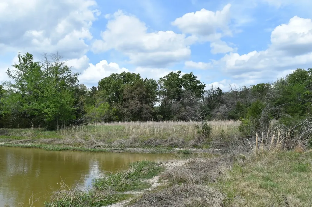 Tbd Mitchell Road Kosse TX 76653