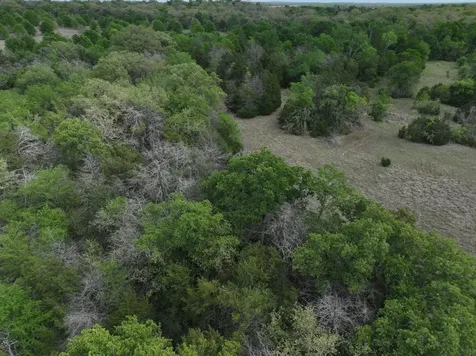 Tbd Mitchell Road Kosse TX 76653