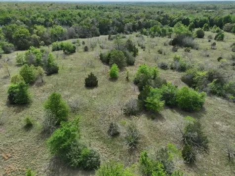 Tbd Mitchell Road Kosse TX 76653