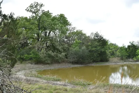 Tbd Mitchell Road Kosse TX 76653