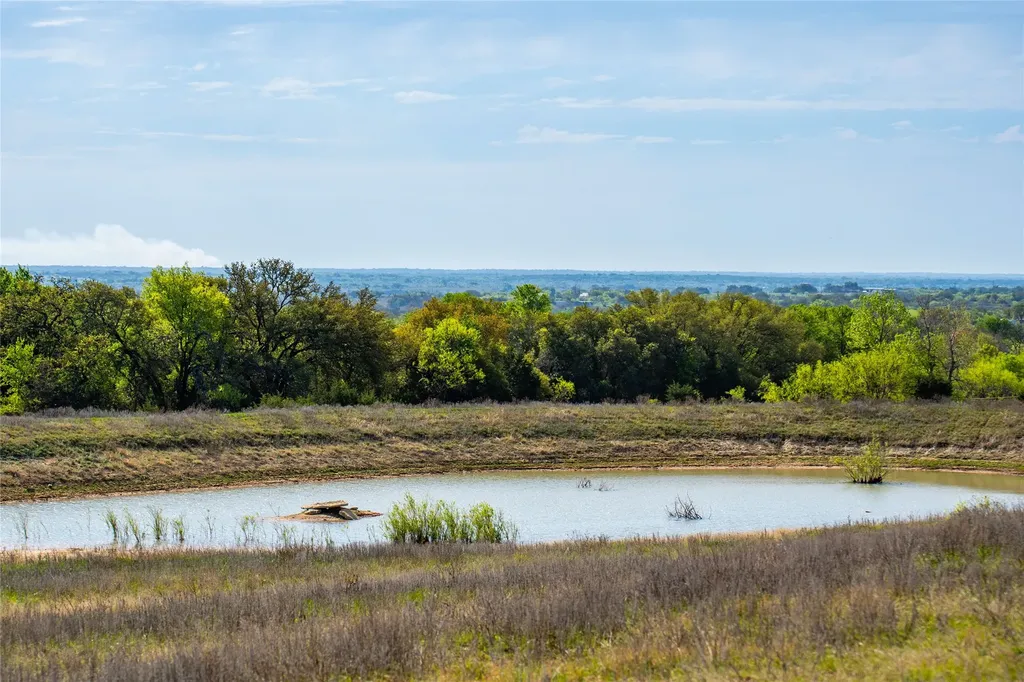 231 Georgia Pass Desdemona TX 76445