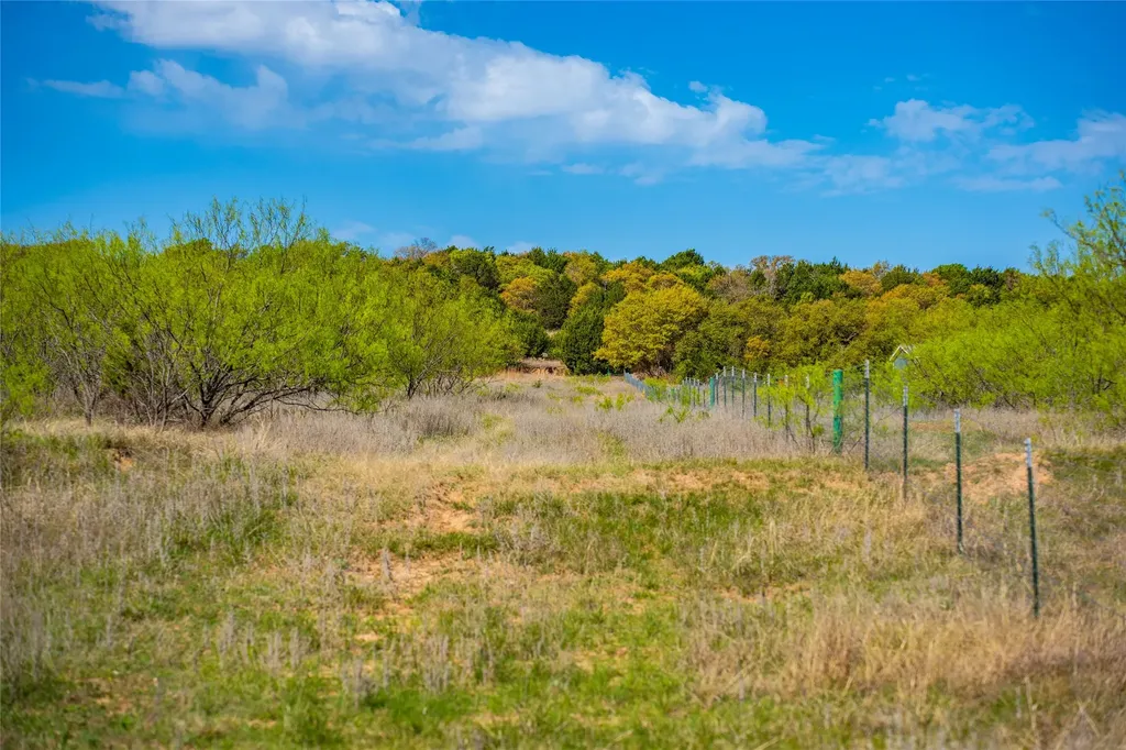 231 Georgia Pass Desdemona TX 76445