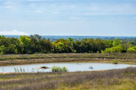 231 Georgia Pass Desdemona TX 76445