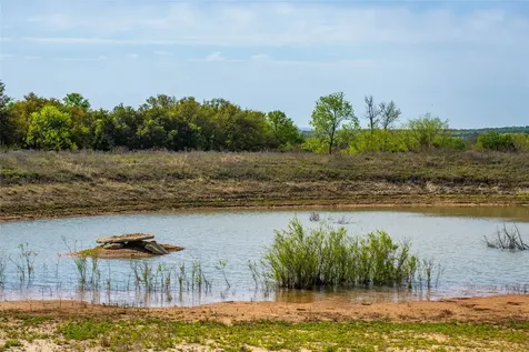 231 Georgia Pass Desdemona TX 76445