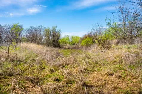 231 Georgia Pass Desdemona TX 76445