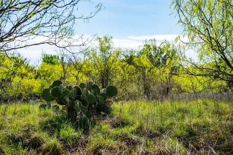 231 Georgia Pass Desdemona TX 76445