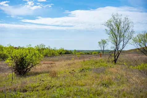 231 Georgia Pass Desdemona TX 76445