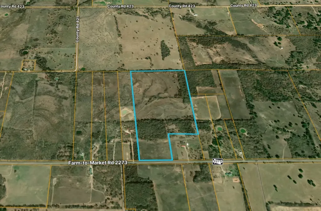 1400 E Fm 2273 May TX 76857