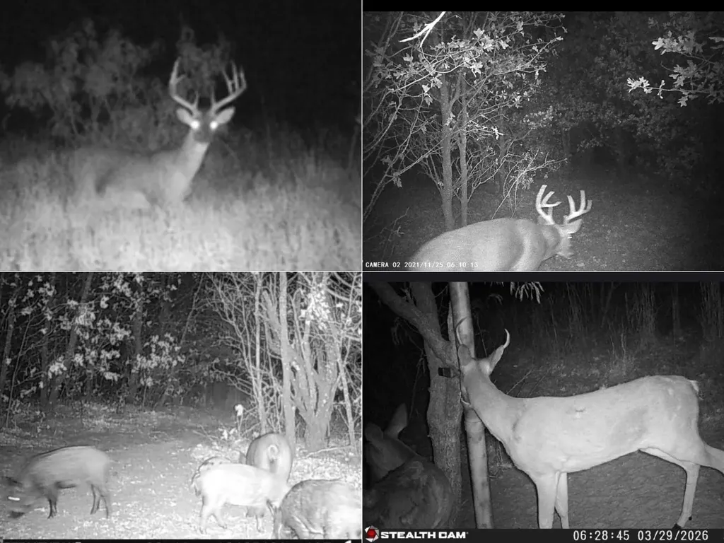 8378 County Road 358 Anson TX 79501