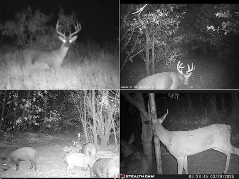 8378 County Road 358 Anson TX 79501