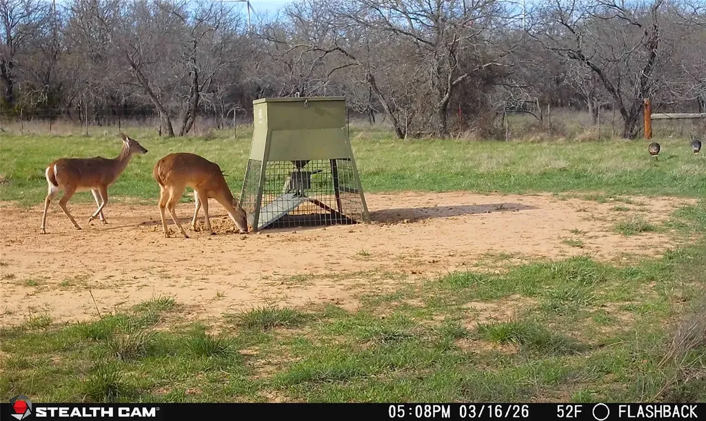 4909 Barton Chapel Road Jacksboro TX 76458